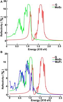 Optical Absorption and Reflectivity of Four 2D Materials: MoS2, MoP2, NbS2, and NbP2